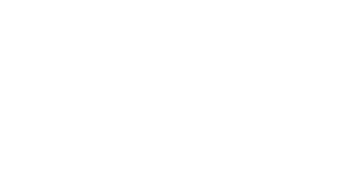 karming - GeniusPay