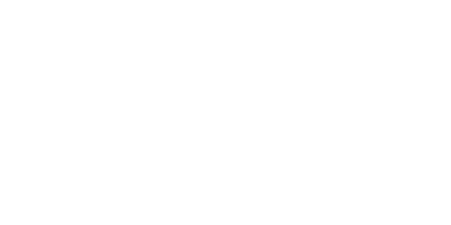 nets - GeniusPay
